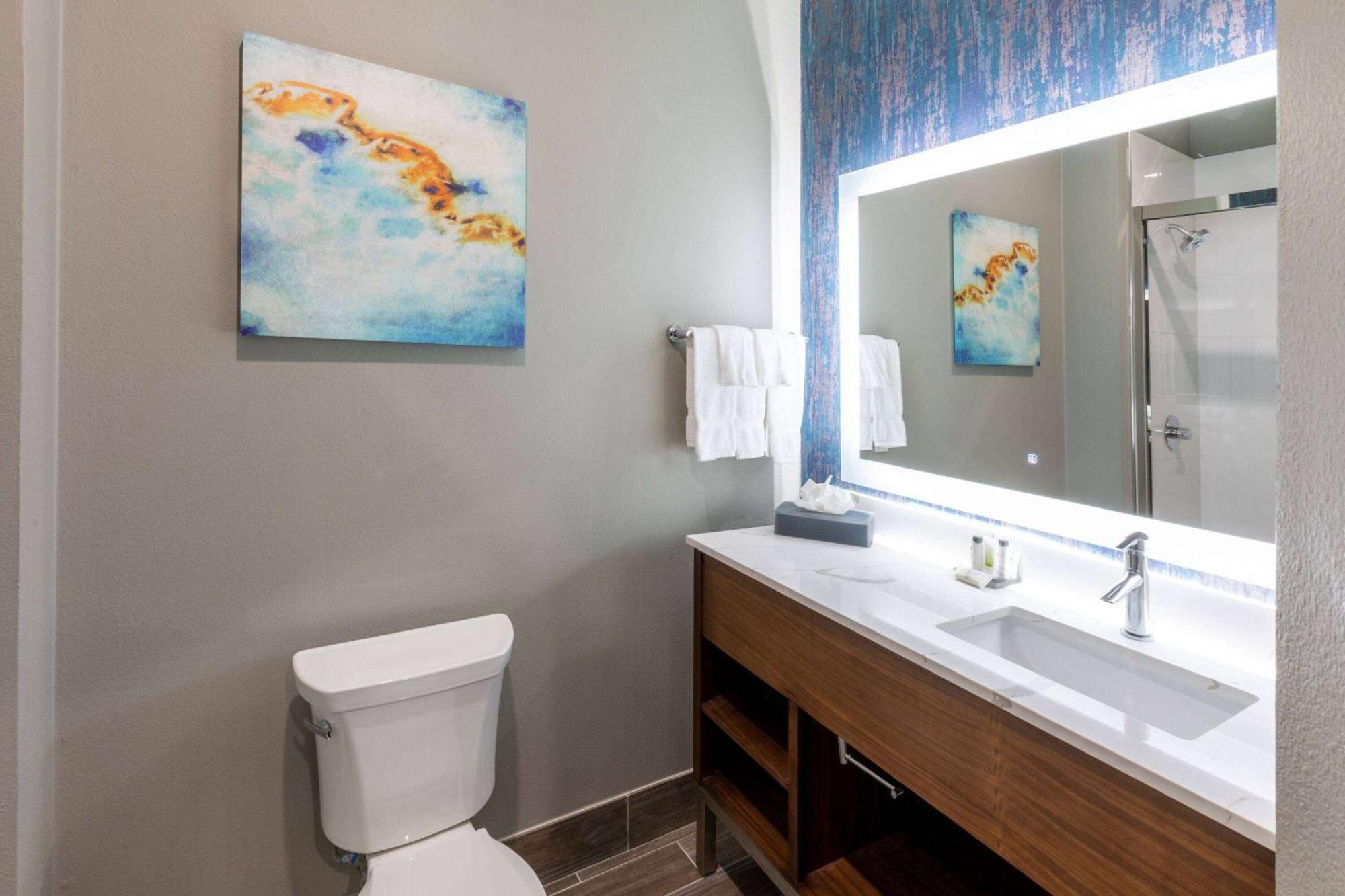 La Quinta Inn & Suites By Wyndham Dallas - Frisco Stadium Ngoại thất bức ảnh